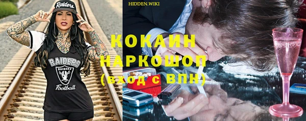 шишки Инта