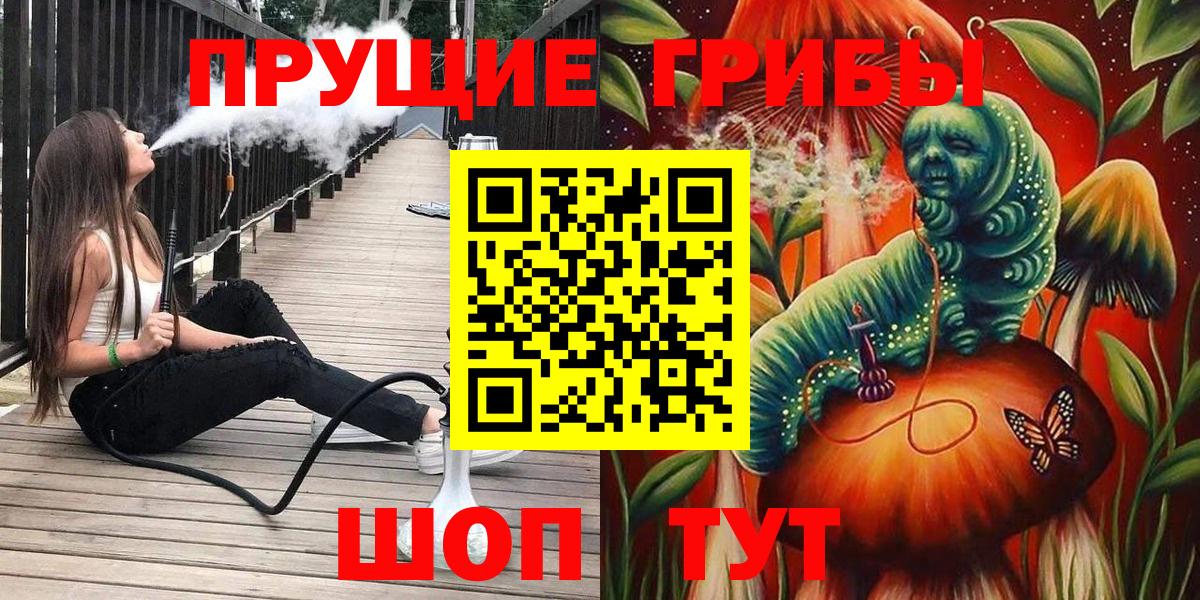 Северск  Галлюциногенные грибы Psilocybine cubensis  Вход с VPN 